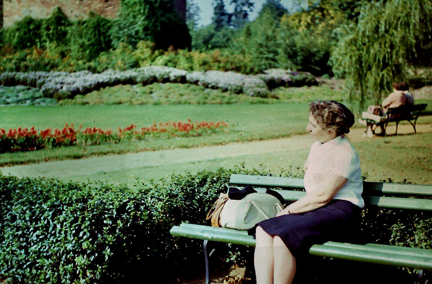 tl_files/music_academy/Aktuelles/stadtpark-blumen-Burghuegel1960iger.jpg